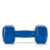 AMILA Vinyl Dumbbell 9Kg