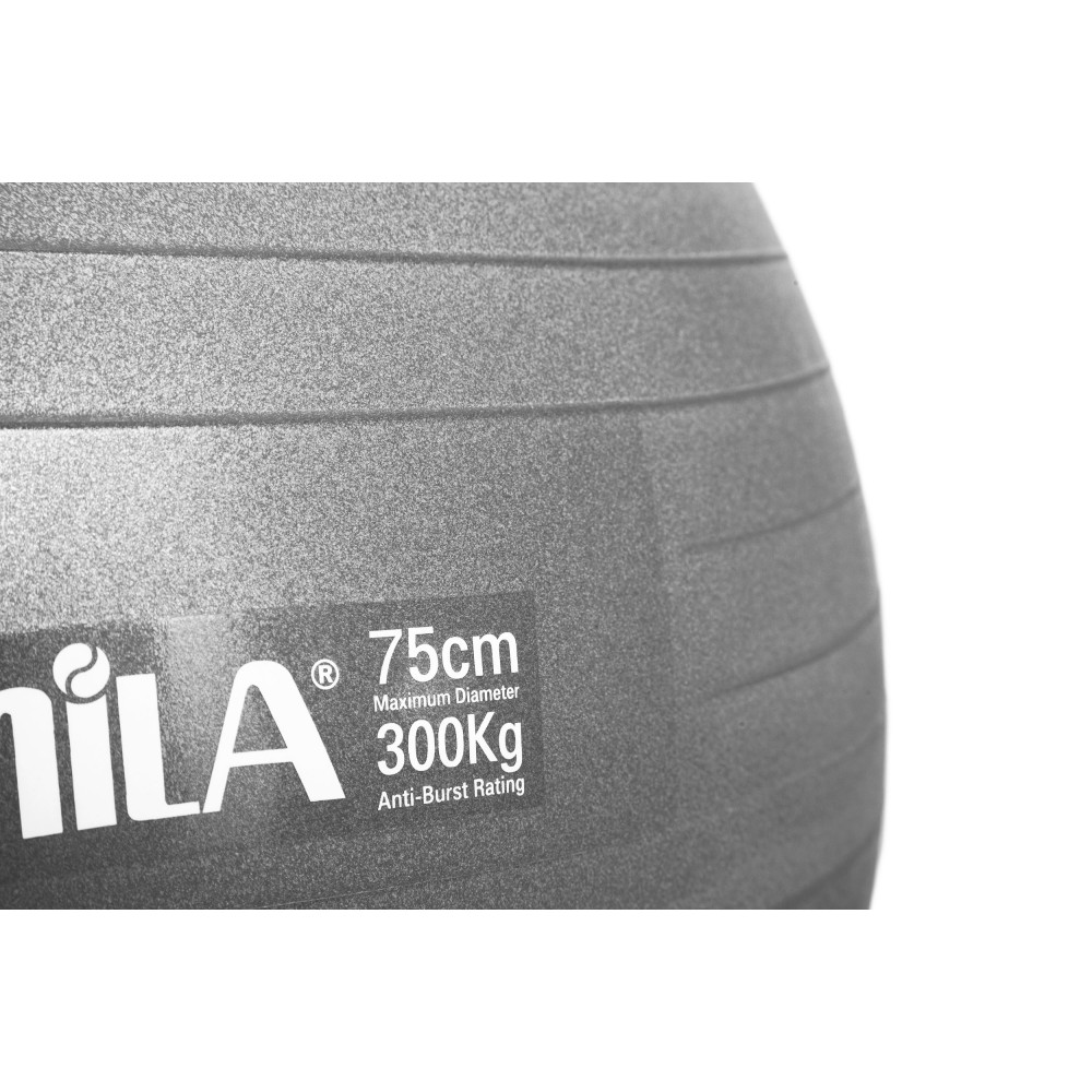 Μπάλα Γυμναστικής AMILA GYMBALL 75cm Γκρι Bulk