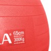 Μπάλα Γυμναστικής AMILA GYMBALL 65cm Κόκκινη Bulk
