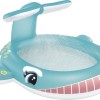 Whale Spray Pool