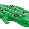 Giant Gator