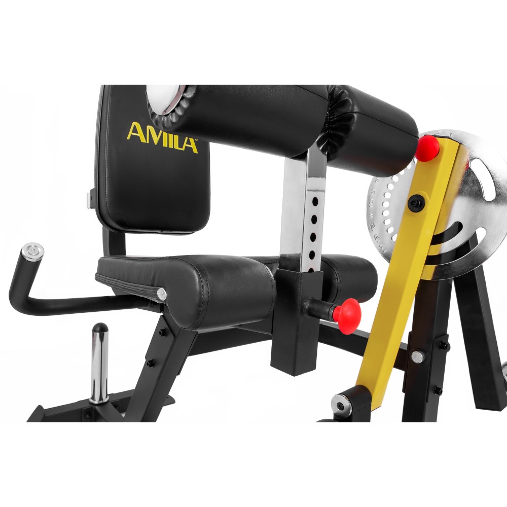 Μηχάνημα Leg Curl / Leg Extension AMILA AX1030