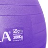 Μπάλα Γυμναστικής AMILA GYMBALL 55cm Μωβ