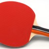 Ρακέτα Ping Pong Sunflex FORCE C20
