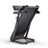 ΔΙΑΔΡΟΜΟΣ (TT-200) Bluetooth, manual incline, ALPINE