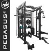 Pegasus® Πολυόργανο All-In-One Trainer PG-2000