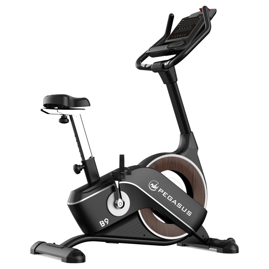 Ποδήλατο Γυμναστικής Pegasus® B9