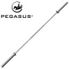 Pegasus Ολυμπιακή μπάρα 2000mm*28mm (15.4kg)