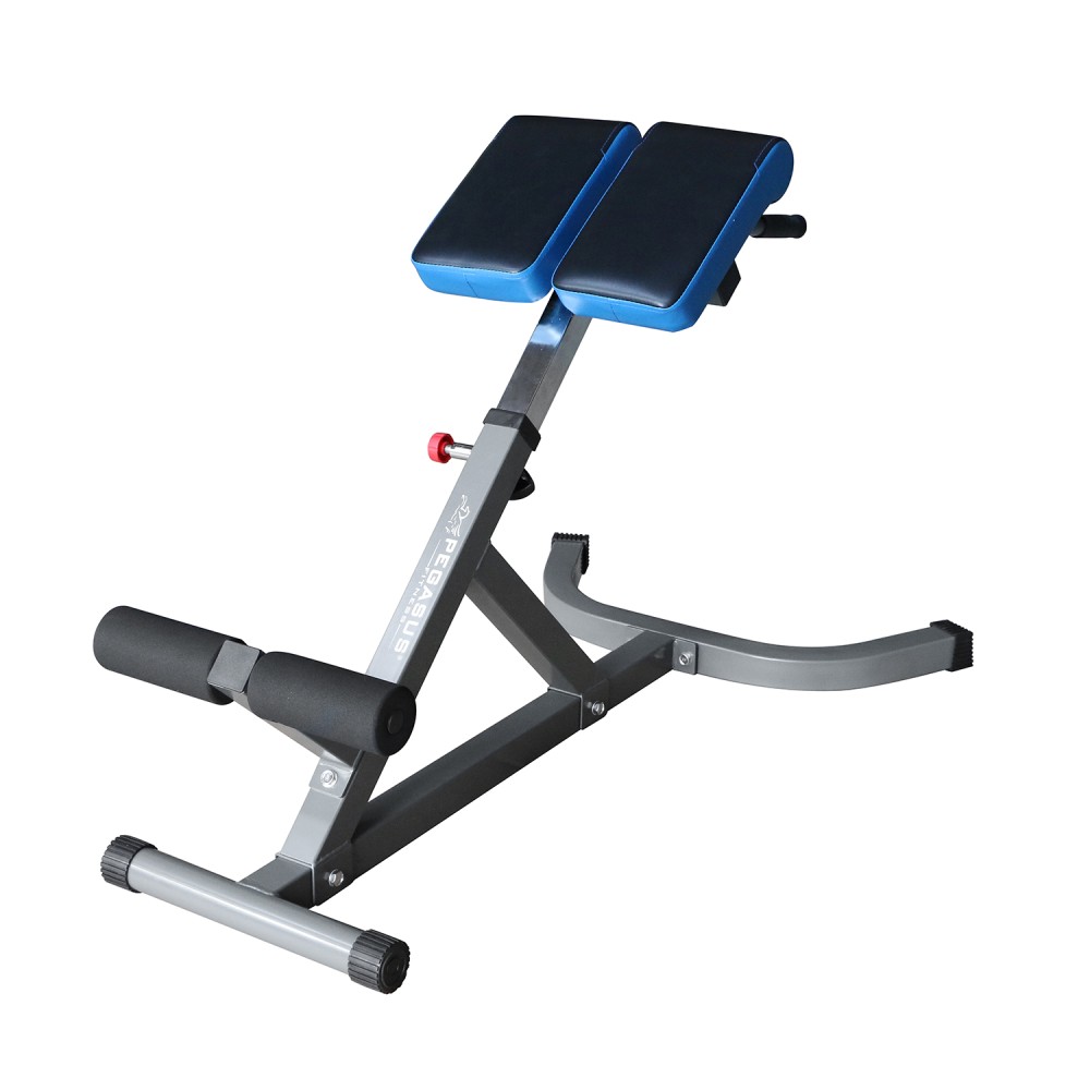 Pegasus® Πάγκος Ραχιαίων LRK-904