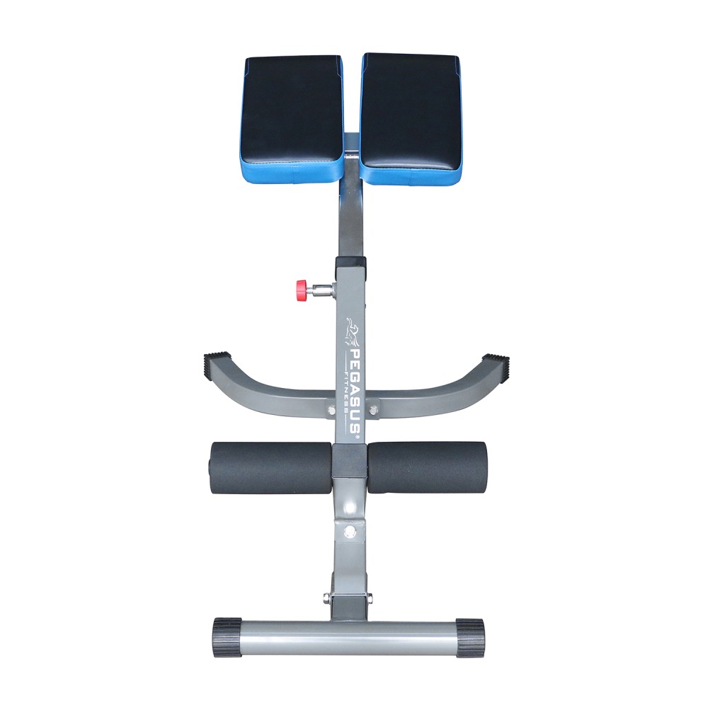 Pegasus® Πάγκος Ραχιαίων LRK-904