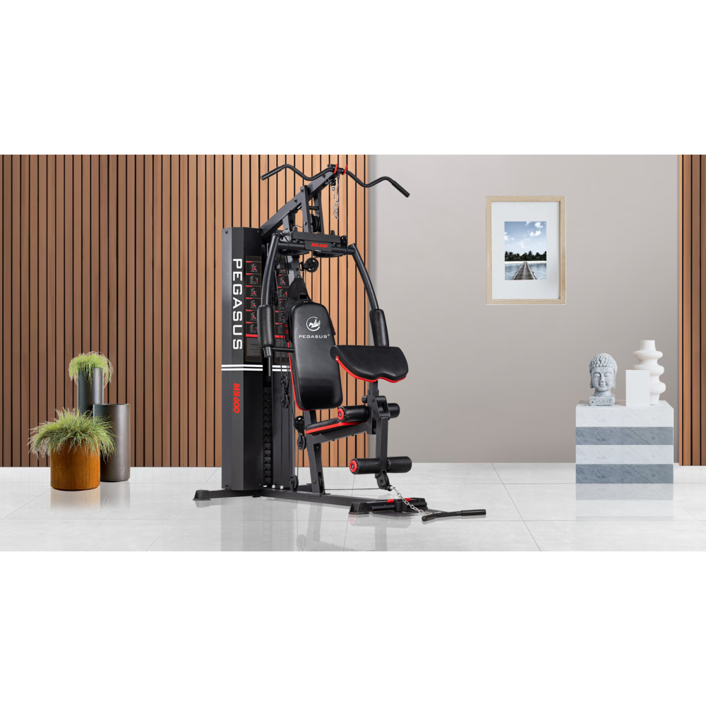 Πολυόργανο Pegasus® MS-600