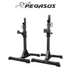 Pegasus® Ρυθμιζόμενοι Ορθοστάτες (OK0043B)