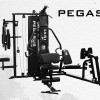 Pegasus® Pro Gym 3 Θέσεων MT-18504-ABC