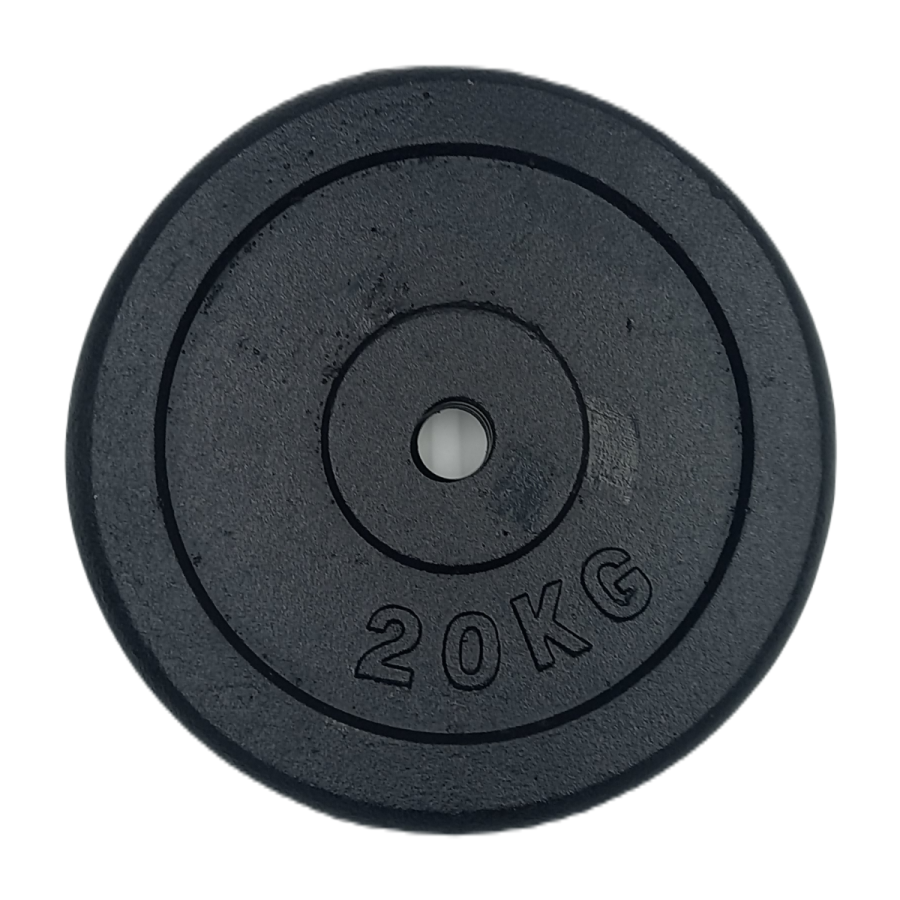Ζευγάρι Cast Iron Plates Φ28 20kg Pro-Fit