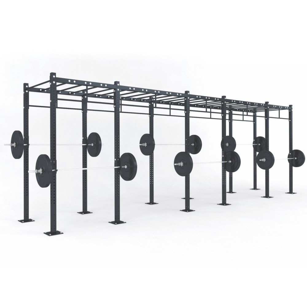 FUNCTIONAL TRAINING RIG C5