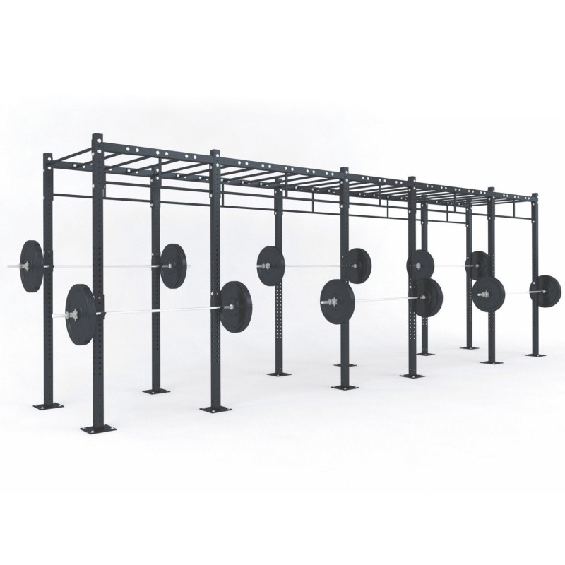 FUNCTIONAL TRAINING RIG C5