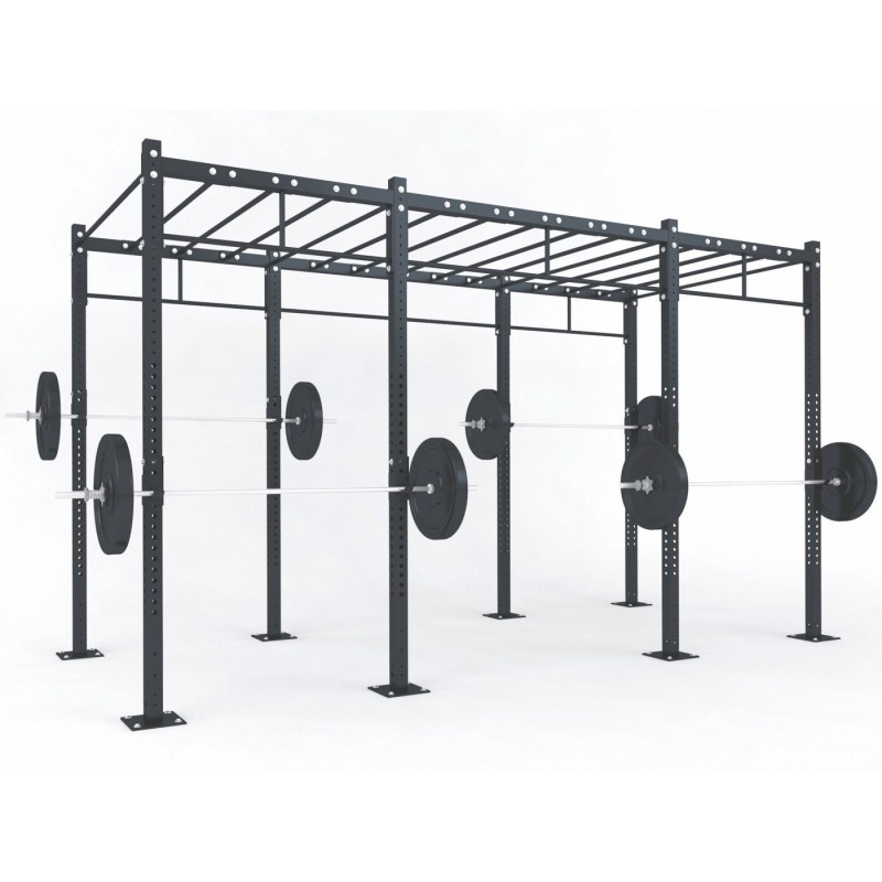 FUNCTIONAL TRAINING RIG D3