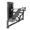 Chest and Shoulder Press (Dual)