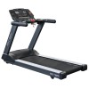 Treadmill Run-T100