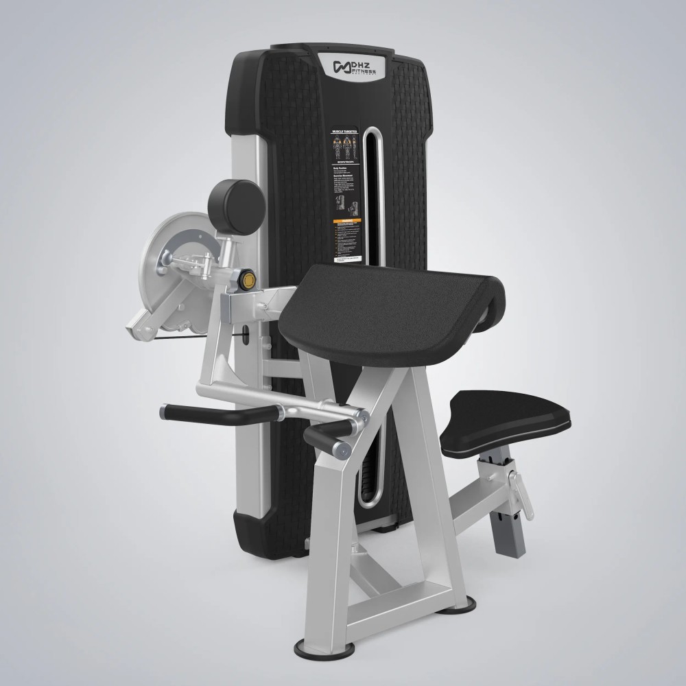 Camber Curl & Triceps