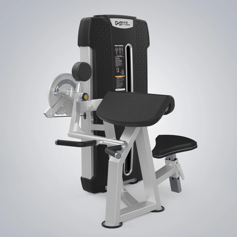 Camber Curl & Triceps