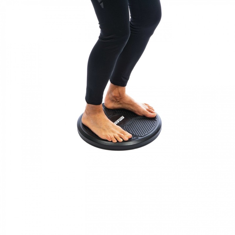 Rotational Balance Disc