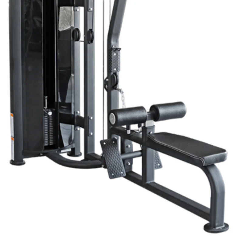 Lat Pulldown and Low Row (Dual)