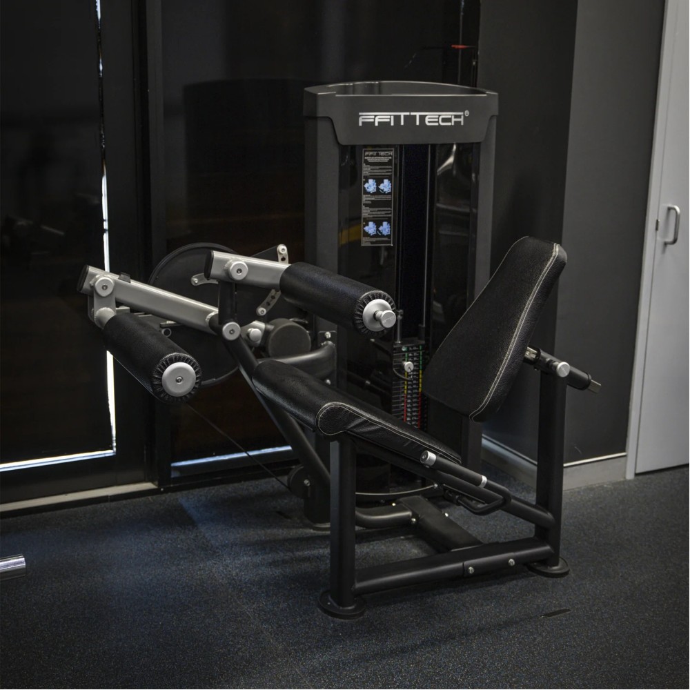 Seated Leg Extension and Curl (Dual)