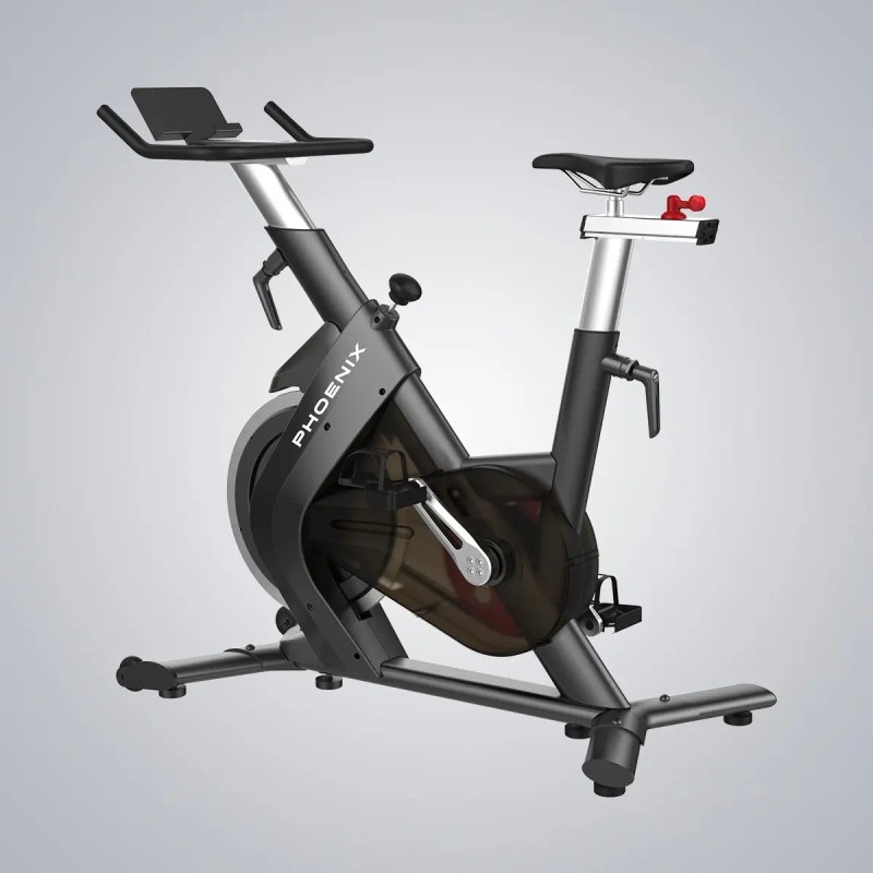 Indoor Cycling Bike S210
