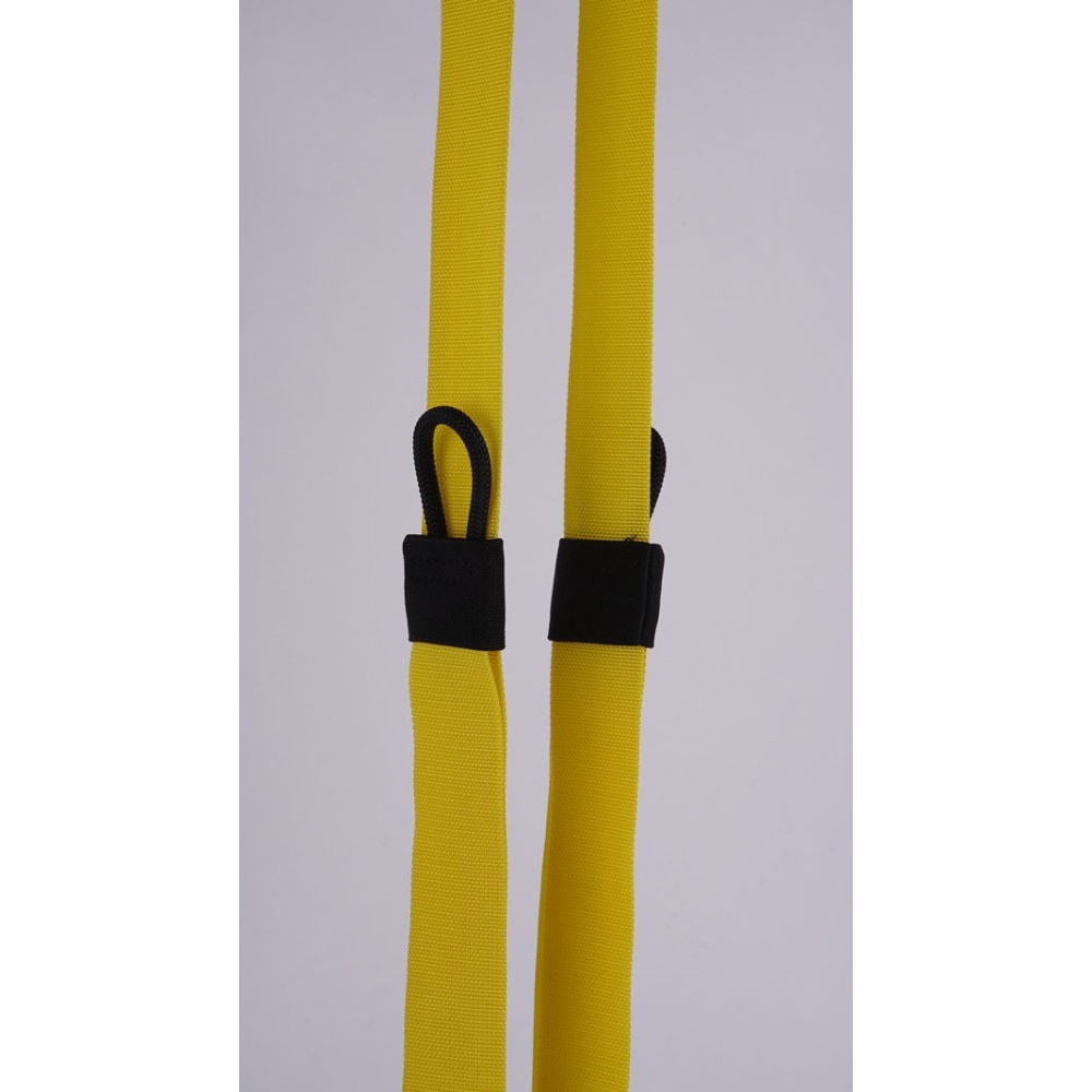 TRX BURN Suspension Trainer Kit
