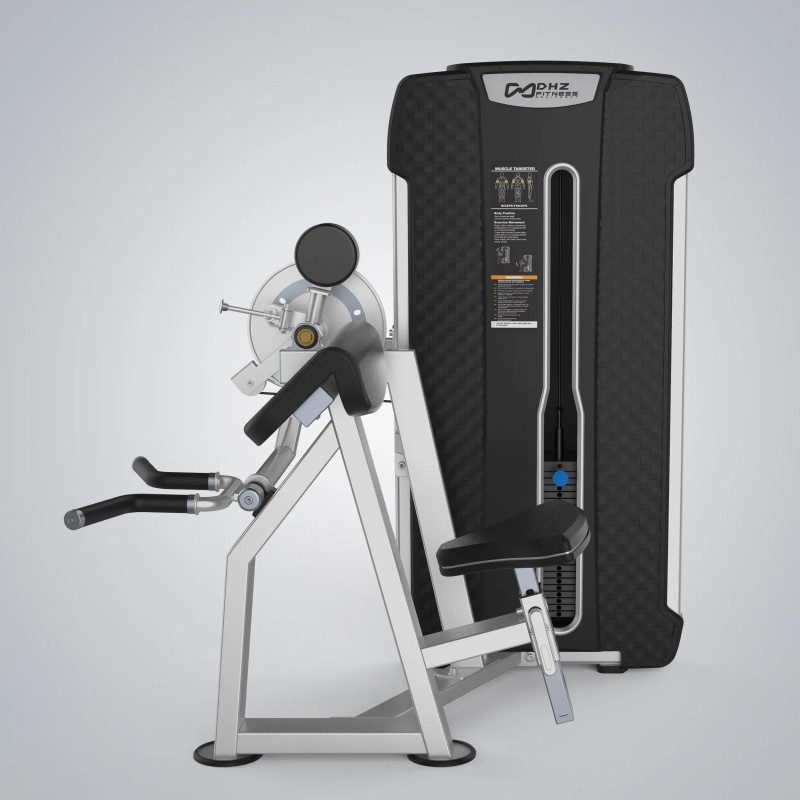 Camber Curl & Triceps