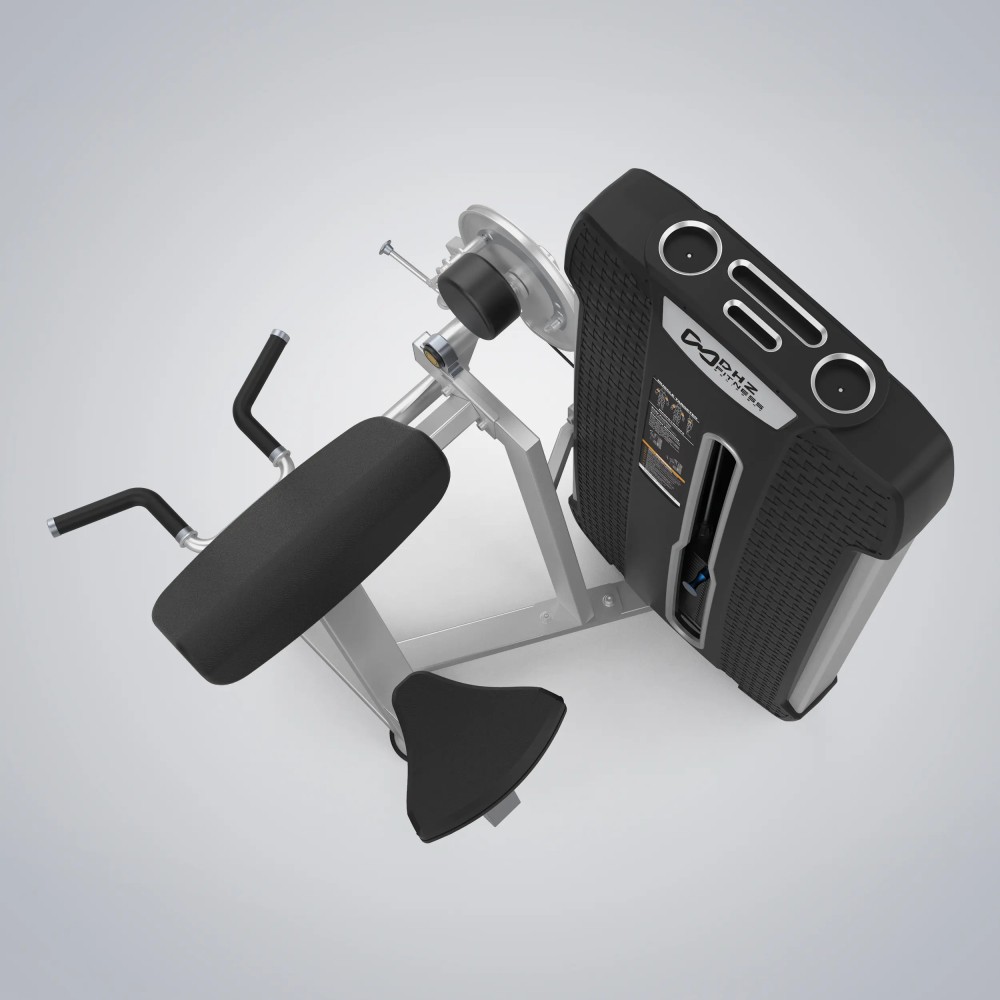 Camber Curl & Triceps