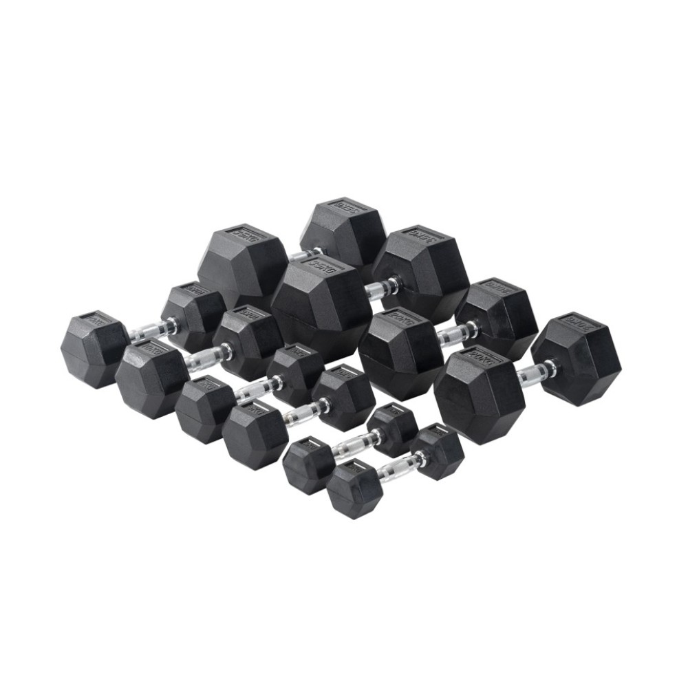 VIKING ΑΛΤΗΡΑΣ ΕΠΑΓΓΕΛΜΑΤΙΚΟΣ ΕΞΑΓΩΝΟΣ - 12.50 kgr