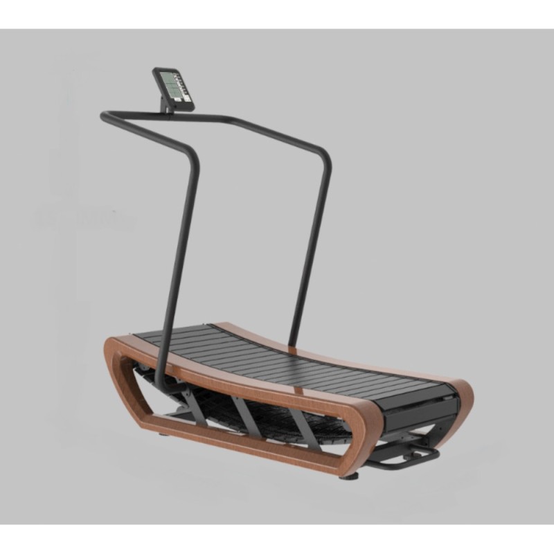 Curved Διάδρομος Γυμναστικής Viking Saga