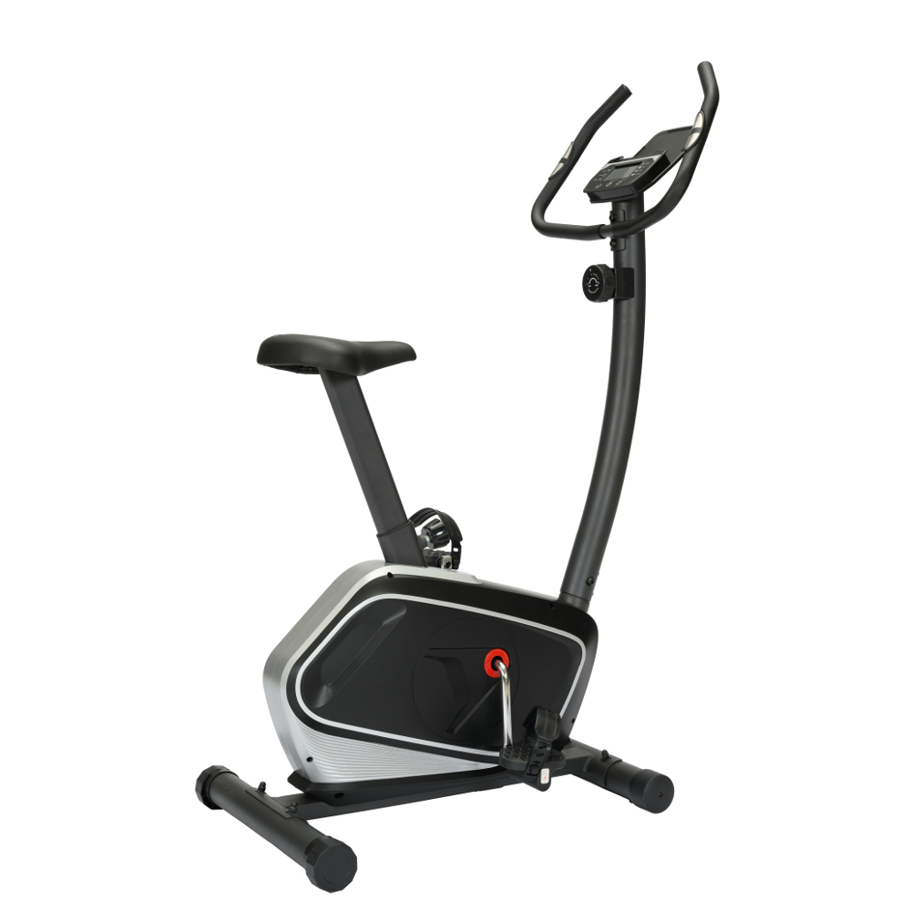 Viking Ποδήλατο Fancy