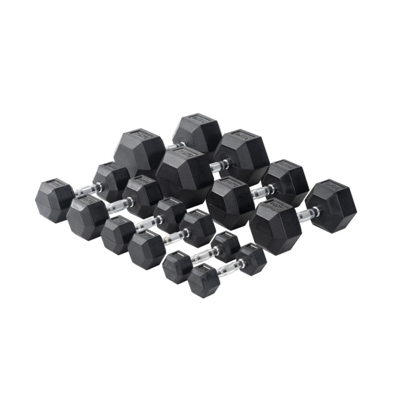 VIKING ΑΛΤΗΡΑΣ ΕΠΑΓΓΕΛΜΑΤΙΚΟΣ ΕΞΑΓΩΝΟΣ - 45.00 kgr