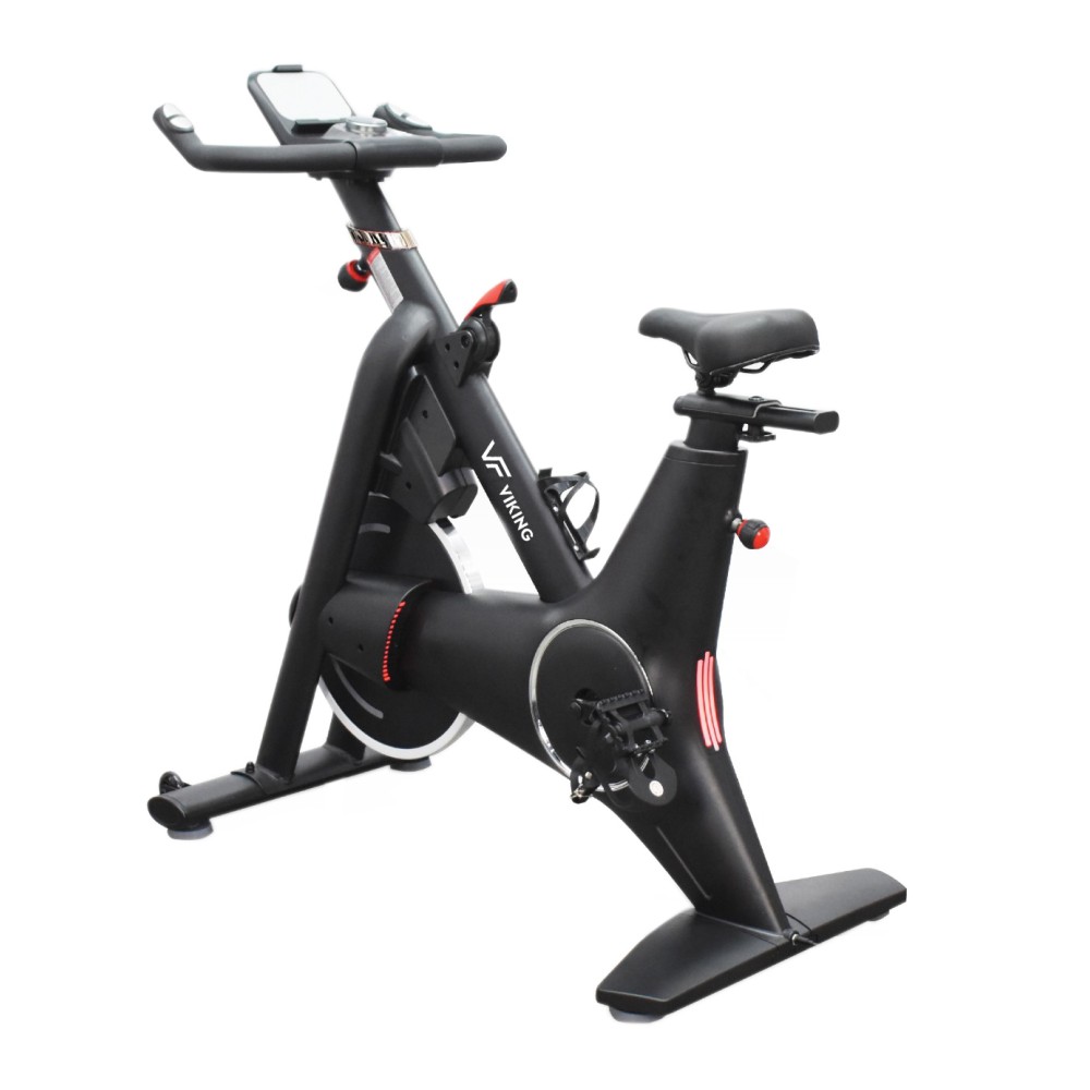 Viking Sparkle Ποδήλατο Spin