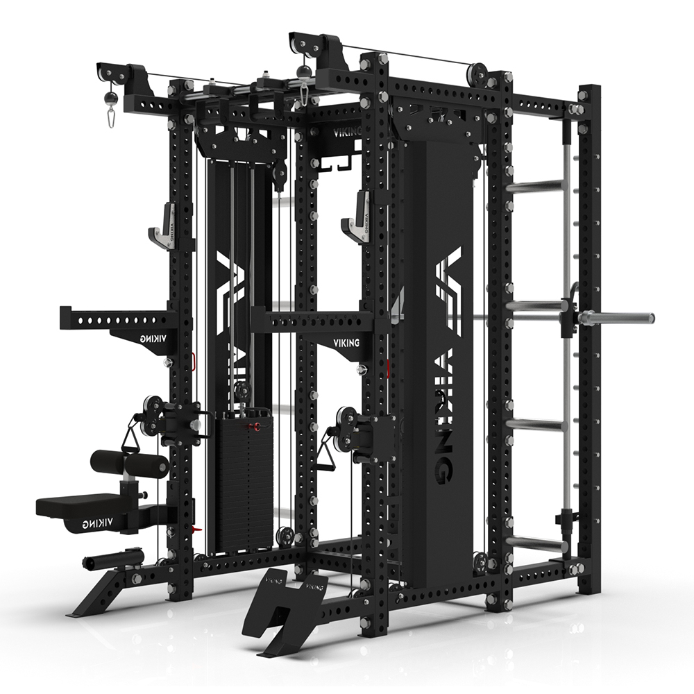 Viking Black Beast All In One Trainer