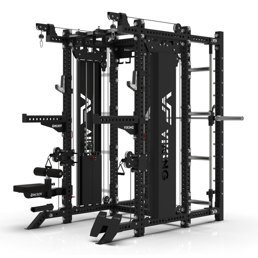 Viking Black Beast All In One Trainer