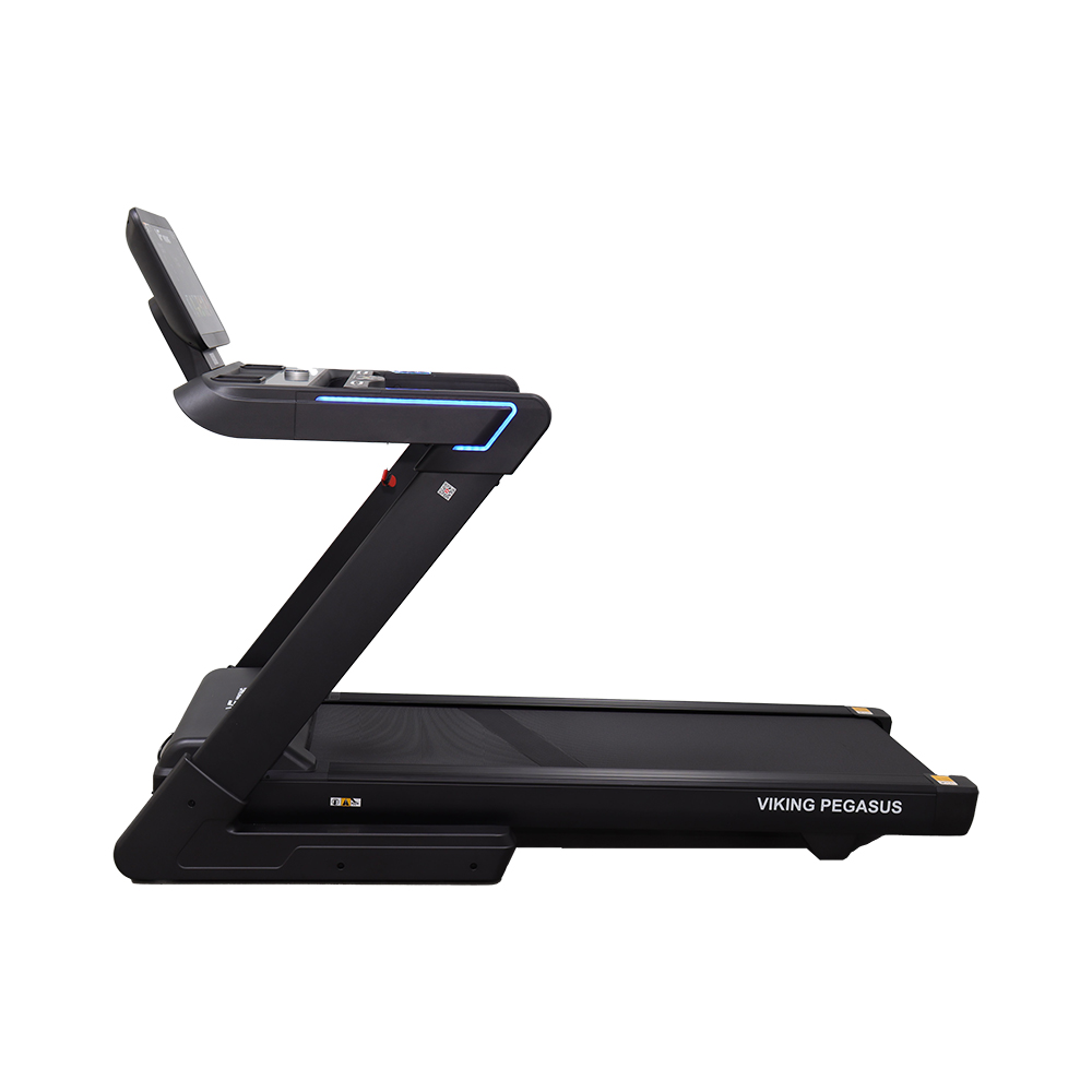 Διάδρομος ηλεκτρικός Viking Pegasus 4Hp